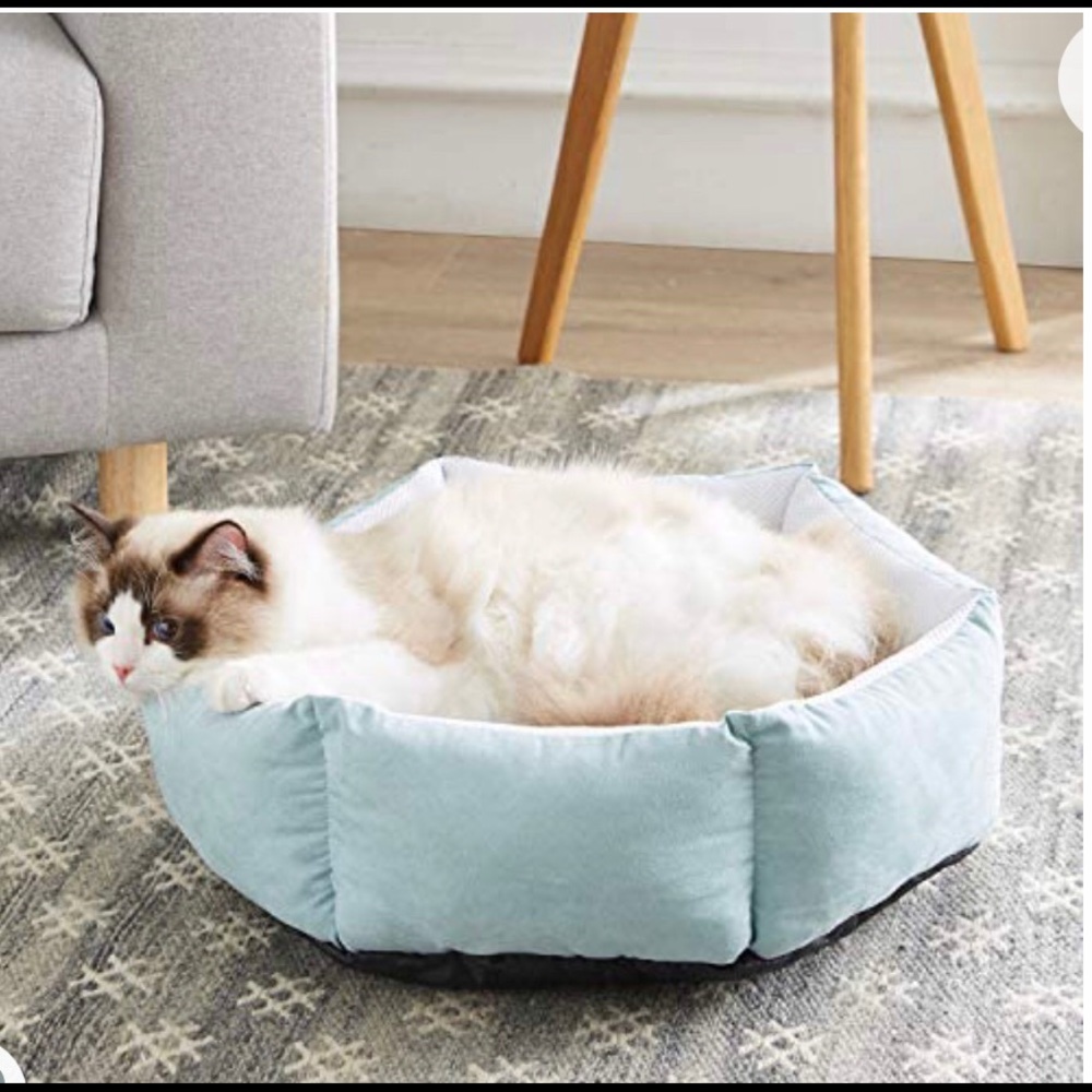 HOST PICK!! Western Home for indoor cats washable